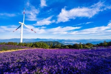 거창 감악산 꽃&별 축제(감악고도)트레킹 안내(9월25일) - 정기산행알림방 - 광주반월산악회　 광주반월산악회　