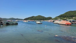 남파랑길 30구간 - ………용고문 용안수 - 100클럽(산들투어) 남파랑길 30구간