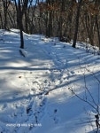 좌구산(657m)증평읍 율리 - ─‥ 다녀온 산행방 - 카우보이 산행 좌구산(657m)증평읍 율리