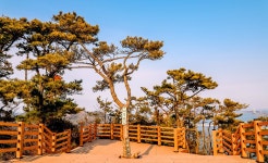 소사벌 산악회 제257회차 산행신청 군산 고군산군도 선유도 - 정기산행... 소사벌 산악회 제257회차 산행신청 군산 고군산군도 선유도