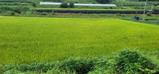 9월14일 가섭지맥2구간(96th) - 포근한 빛 - J3 클럽 9월14일 가섭지맥2구간(96th)