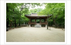 함양 상림공원 - ▶연습방 - 수요포토 함양 상림공원