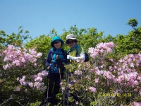 ＜제267차＞ 정기산행 인제군 방태산 - 정기 & 테마 산행공지 - .남양주대자연백봉산악회. ＜제267차＞ 정기산행 인제군 방태산