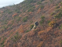 무의도 종주...2025.11.12.수...11km - 3. 경기도 산행기 - 관악산.삼성산 기암괴석 및 100대 명산 안내(산정상 조망) 무의도 종주...... 