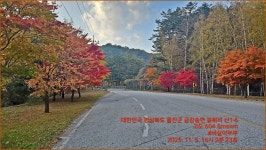 2025.11.05. 답운치~통고산~답운치. - 낙동정맥 산따묵기 - 비실이부부 2025.11.05. 답운치~통고산~답운치.