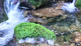 화야산 운곡사 계곡 - 여행 사진첩 - 국제수석연구회 화야산 운곡사 계곡