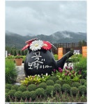 2025. 10. 12 . 포천 가든페스타축제ㆍY출렁다리ㆍ비둘기낭폭포ㆍ관광ㆍ트레킹감니다 - 정기산행 신청 - 춘천마루산악회 2025. 10. 12 . 포천... 