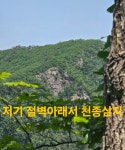 백두대간 귀한 약초산행.44 (약초복용 기억찾고 동영상추가) - ★심마니 산약초★ - 예천군민회 백두대간 귀한 약초산행.44 (약초복용 기억찾고... 
