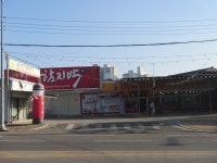 읍네 물리치료후 상황버섯 산행.145 (몇곳 답사도) - ━━━━ 심마니 산약초 - 산삼과 약초 읍네 물리치료후 상황버섯 산행.145 (몇곳 답사도)