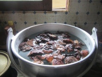 상황버섯 산행.153 (선객이 다녀 갈줄은?) - ━━━━ 심마니 산약초 - 산삼과 약초 상황버섯 산행.153 (선객이 다녀 갈줄은?)