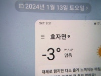 사시 황철 상황버섯 산행.146 - ━━━━ 심마니 산약초 - 산삼과 약초 사시 황철 상황버섯 산행.146
