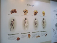 9/3. 순천대학교 박물관 탐방 1 - 자유게시판 - 순천대박물관 공식카페 9/3. 순천대학교 박물관 탐방 1