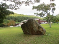 10/14. 진도 운림산방 산책 - 자유게시판 - 순천대박물관 공식카페 10/14. 진도 운림산방 산책