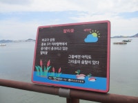 9/9. 목포 문화예술회관 주변 산책 2 - 자유게시판 - 순천대박물관 공식카페 9/9. 목포 문화예술회관 주변 산책 2