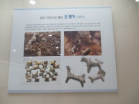 9/3. 순천대학교 박물관 탐방 2 - 자유게시판 - 순천대박물관 공식카페 9/3. 순천대학교 박물관 탐방 2