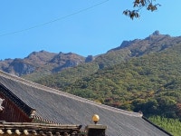 표충사(2) - ★★재악산 증거★★ - 밀양광장 (재악산 載岳山 載嶽山 ...) 표충사(2)