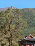 표충사(2) - ★★재악산 증거★★ - 밀양광장 (재악산 載岳山 載嶽山 ...) 표충사(2)