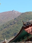 표충사(2) - ★★재악산 증거★★ - 밀양광장 (재악산 載岳山 載嶽山 ...) 표충사(2)