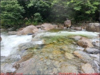 250810_함양 서암정사 & 칠선계곡 물놀이 & 대풍원펜션_호랑이부부 - 2025년 국내여행 - 동하의 힘찬새발걸음 250810_함양 서암정사 & 칠선계곡... 