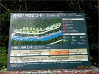 250803_남원 와운천년송_반선교 뱀사골 와운교 부부송 천년송... 와운천년송_반선교 뱀사골 와운교 부부송 천년송 와운마을 와운옛길 반선... 