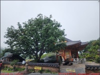 250810_함양 서암정사 & 칠선계곡 물놀이 & 대풍원펜션_호랑이부부... 250810_함양 서암정사 & 칠선계곡 물놀이 & 대풍원펜션_호랑이부부