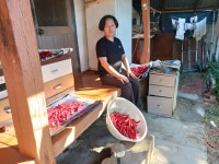 # 금포국민학교졸업 장세영이용소 금빛대학졸업.& - ─‥‥등업인사/신청 - 참찬공파 # 금포국민학교졸업 장세영이용소 금빛대학졸업.&