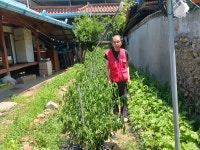 # 금포국민학교졸업 장세영이용소 금빛대학졸업.& - ─‥‥등업인사/신청 - 참찬공파 # 금포국민학교졸업 장세영이용소 금빛대학졸업.&