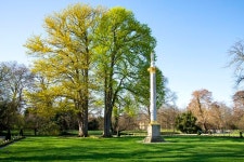 인생 길(13-63) 유영동 - ◈자작글자작시◈ - 코스모스화원 인생 길(13-63) 유영동