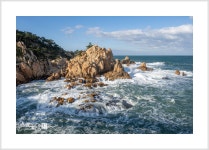 한 송이의 꽃과같은 파도 - ▤☞풍경 및 기타사진 - 해산강 Photo Club 해산강 Photo Club