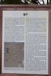 24/07/07 충남 아산시 인주면 공세리성지(성당) 순례 - 성지·성당·수도원·시설 - 곤지암성당 24/07/07 충남 아산시 인주면 공세리성지(성당)... 