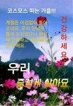가을의 문턱을 알리는 처서 - ‥‥공유 ♡ 좋은글 - 향기있는 좋은글 가을의 문턱을 알리는 처서
