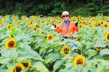 25,06,29,하월리 해바라기.모월수국.나문재정원 출사. - 사진작품동호회 출사 후기 - 아름다운 5060 25,06,29,하월리 해바라기.모월수국.... 