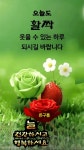 기쁨이 폭포수 같이 넘치는 - ♡━━ 말띠방 - 아름다운 5060 기쁨이 폭포수 같이 넘치는