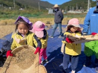 [해누리] 10월 19일 ＜벼를 수확해요🌾＞ - 해반 이야기 - 해달별유치원 해달별유치원