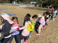 [해누리] 10월 19일 ＜벼를 수확해요🌾＞ - 해반 이야기 - 해달별유치원 해달별유치원