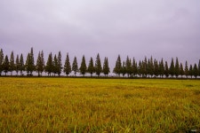 죽동리 - 풍경 - 산과 들꽃 이야기 죽동리