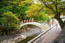 통도사 - 풍경 - 산과 들꽃 이야기 통도사