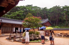 통도사 구룡지 - 풍경 - 산과 들꽃 이야기 통도사 구룡지