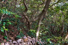 연지리 - 풍경 - 산과 들꽃 이야기 연지리