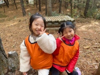 ❤️고슴도치숲에 다녀왔어요❤️ - 23년 푸른나무반(만4세) - 자연속에서 행복하게 자라는 아이들의 배움터 ♥서전주유치원... 