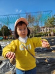 3월3주ㅡ감자를 심었어요 - 23년 산들반(만3세) - 자연속에서 행복하게 자라는 아이들의 배움터 ♥서전주유치원 3월3주ㅡ감자를 심었어요