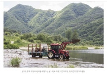 6월 대구 경북 자전거여행길 - ◈도보자전거여행길 - 녹색자전거봉사단연합 6월 대구 경북 자전거여행길