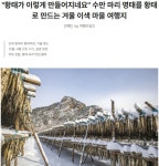 수만마리 황태가 만들어지는 겨울 이색 마을 여행길 - ◈도보자전거여행길 - 녹색자전거봉사단연합 수만마리 황태가 만들어지는 겨울 이색 마을... 