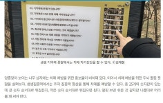운동+두뇌예방, 치매예방 - 건강상식과 정보 - 녹색자전거봉사단연합 운동+두뇌예방, 치매예방