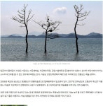 전남 고흥 바다가 반겨주는 비밀정원 여행길 - ◈도보자전거여행길 - 녹색자전거봉사단연합 전남 고흥 바다가 반겨주는 비밀정원 여행길