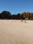 11월3~4일(2일간)송파세륜초등학교 찾아가는 자전거안전교육 - ◈ 찾아가는학교자전거 안전교육(교육청) - 녹색자전거봉사단연합 11월3~4일... 