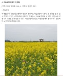 인천시 운서역에서 인천공항자전거도로길 따라 영종도 - ◈도보자전거여행길 - 녹색자전거봉사단연합 인천시 운서역에서 인천공항자전거도로길... 
