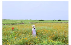 제주도 가파도 자전거여행길 - ◈도보자전거여행길 - 녹색자전거봉사단연합 제주도 가파도 자전거여행길