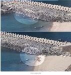 사람보다 많은 섬, `안마도` 포획? 관광자원활용? - 물환경보존관리 - 녹색자전거봉사단연합 사람보다 많은 섬, `안마도` 포획? 관광자원활용?