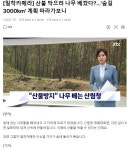 숲길 3000km 따라가 보니. - ◈고발과 칭찬 게시판 - 녹색자전거봉사단연합 산불 막으려 나무 베겠다? 숲길 3000km 따라가 보니.